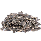 SUN FLOWER SEED PLAIN 100g