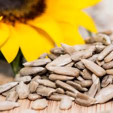 SunFlower Seeds 100g