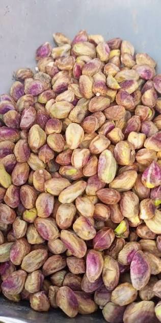Pista Magaz 100g
