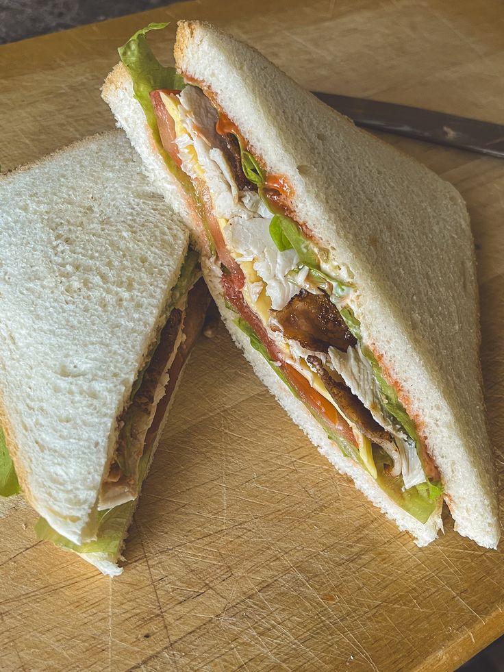 Malai Boti Sandwitch